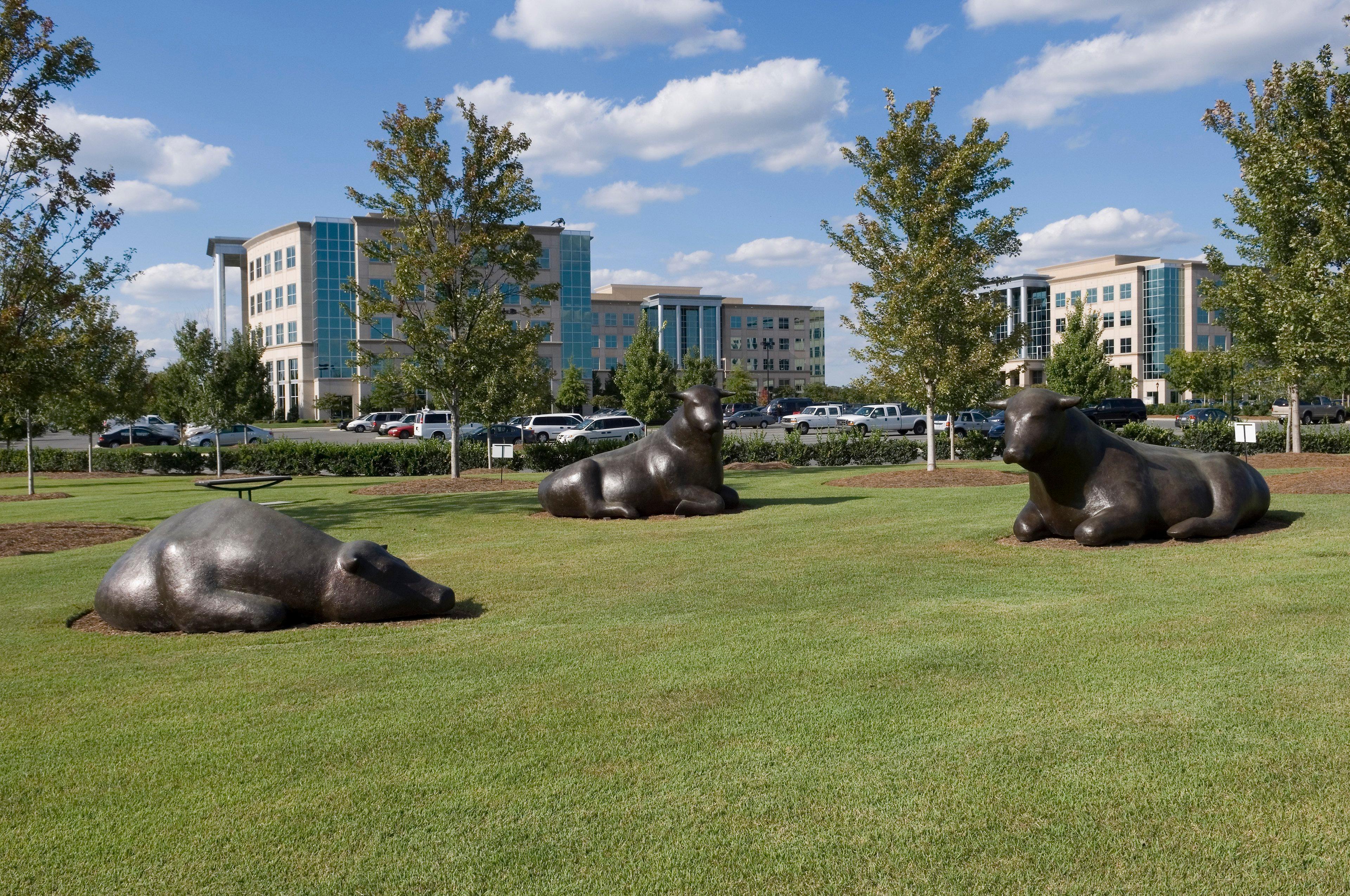 Staybridge Suites - Charlotte Ballantyne By Ihg Exterior foto